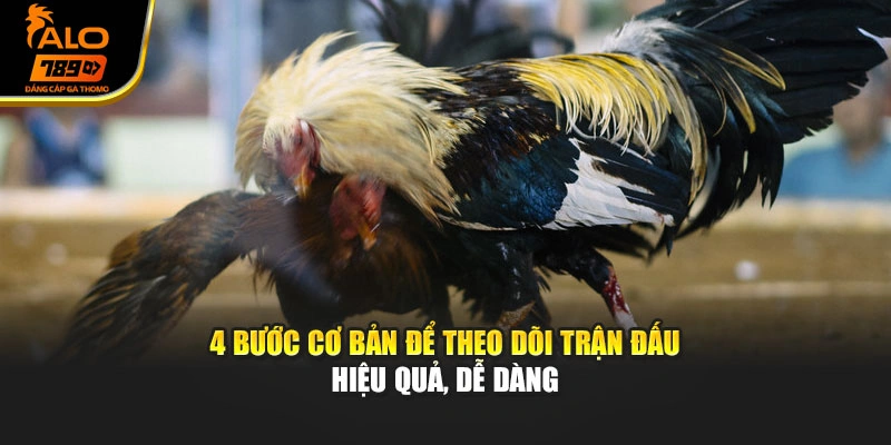 4 bước cơ bản để theo dõi trận đấu hiệu quả, dễ dàng