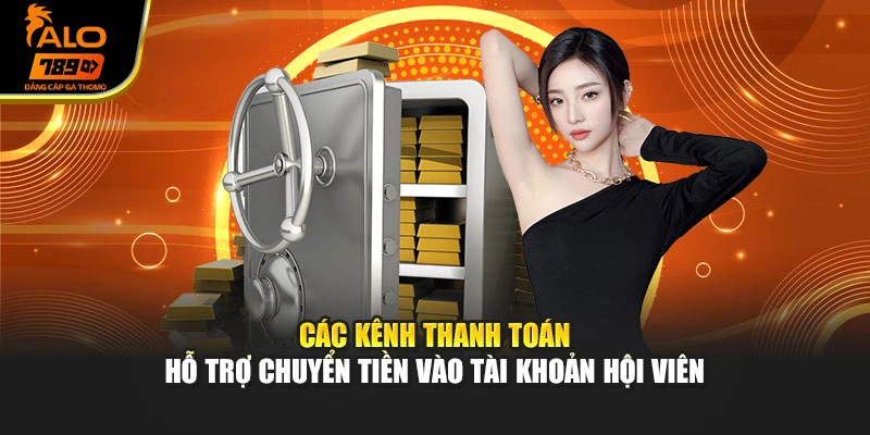 Các kênh thanh toán hỗ trợ chuyển tiền vào tài khoản hội viên