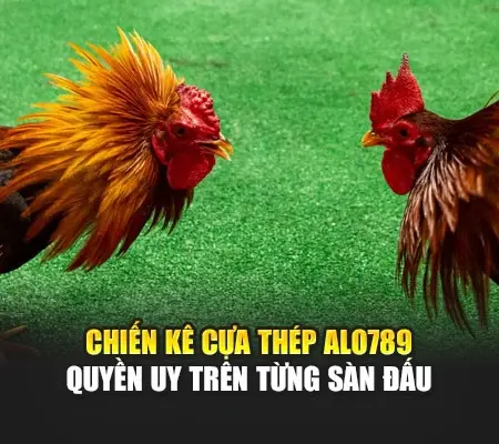 Chiến Kê Cựa Thép Alo789 – Quyền Uy Trên Từng Sàn Đấu