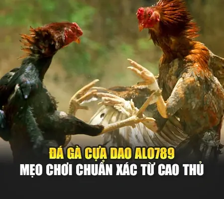 Đá Gà Cựa Dao Alo789 | Mẹo Chơi Chuẩn Xác Từ Cao Thủ