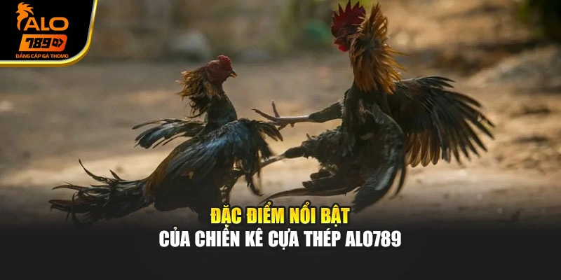 Đặc điểm nổi bật của chiến kê cựa thép Alo789