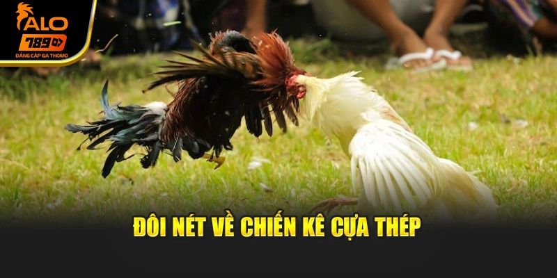 Đôi nét về chiến kê cựa thép