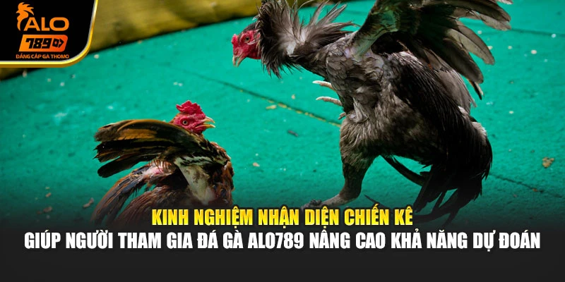 Kinh nghiệm nhận diện chiến kê giúp người tham gia đá gà Alo789 nâng cao khả năng dự đoán