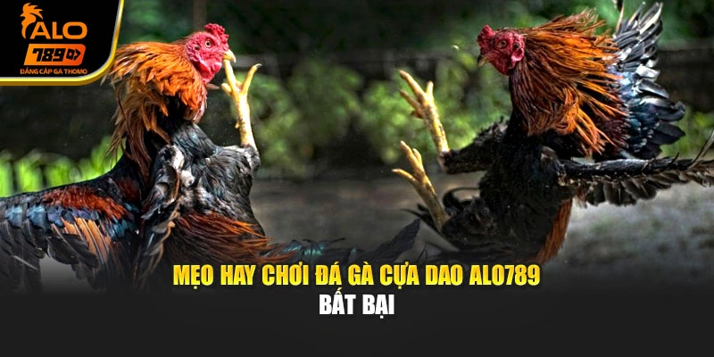Mẹo hay chơi đá gà cựa dao Alo789 bất bại