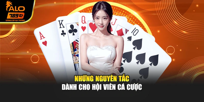Những nguyên tắc dành cho hội viên cá cược