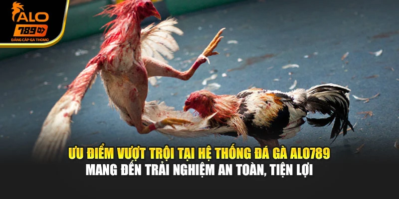 Ưu điểm vượt trội tại hệ thống đá gà Alo789 mang đến trải nghiệm an toàn, tiện lợi